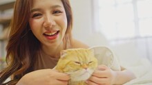 Portrait Close Up Beautiful Asian Woman Lie Near Her Orange Cat Also Scratch The Chin Of Cat To Make It Relax And She Also Look At Camera With Smiling.