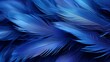 Close-up macro photograph of delicate feathers in a dynamic dance, set against a deep blue twilight