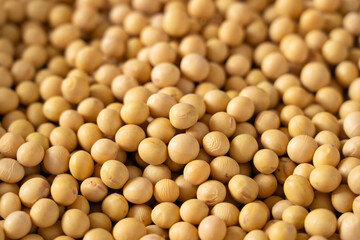 Wall Mural - Dried soybeans seeds texture background.