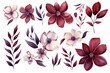 Burgundy several pattern flower, sketch, illust, abstract watercolor, flat design, white background