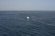 White marine safety buoy. Red sea