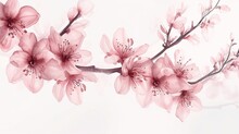 Pink Flowers Of A Geranium On White Background, Photo Manipulation ,generative Ai