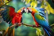 Parrots engaging in a colorful game of mimicry.
