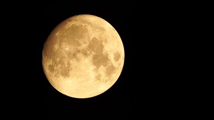 Wall Mural - A glowing golden huge full moon seen from earth through the atmosphere against a starry night sky. A large full moon moves across the sky, the moon moving from the bottom left frame to the top right.