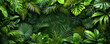 Background of green tropical leaves for design. Variety of green leaves for promotional items.