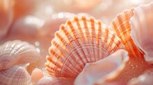 Sea Shells And Clams Closeup, Natural Background In Peach Fuzz Color Shade - AI Generated Abstract Art