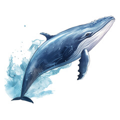 Wall Mural - Blue Whale watercolor illustration png isolated on a transparent background, clipart 