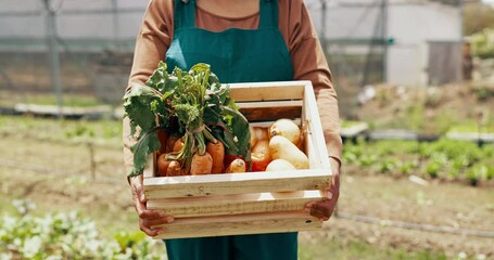 Wall Mural - Person, vegetable and box in greenhouse for farming agriculture, supply chain or countryside. Worker, carrots and onion in container as gardening supplier for food or environment, growth or land