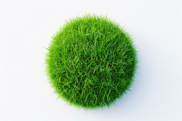 High view of Small round surface covered with grass.