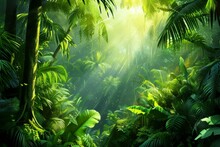 Lush Green Jungle Vegetation With Bright Sunlight Shining Through The Dense Canopy