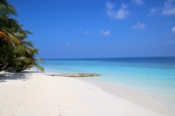 Wall Mural - Maledives sea water and white beach