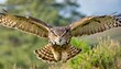 eagle owl in flight, bubo bubo