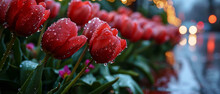 Pink Tulips In Rain --ar 7:3 --stylize 700 --v 6 Job ID: F11fbccb-a015-469f-b60e-136a642cac97
