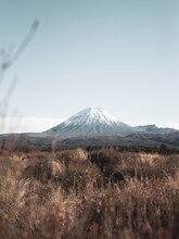 Mt Ruapehu On A Calm And Sunny Day Taken Far In The Bushes