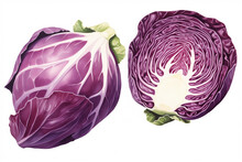 Red Cabbage Isolated On White Background