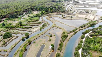 Wall Mural - Salterns, areas with hypersaline water for natural salt-works, near Les Sables d'Olonne, Pays de la Loire, France