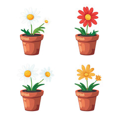 Wall Mural - Cartoon illustration of daisy flowers in pots isolated on transparent background