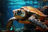 Fototapeta Do akwarium - Graceful sea turtle glides through the sparkling blue waters of the reef, a magnificent example of the intricate beauty of marine life