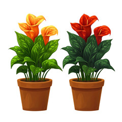 Wall Mural - Illustration of aglonema flower plant in a pot on a transparent background