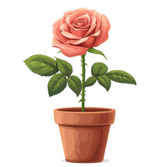 Wall Mural - Cartoon illustration of rose flower in pot isolated on transparent background
