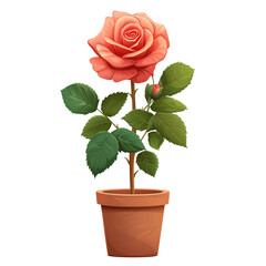 Wall Mural - Rose illustration in a pot isolated on a transparent background