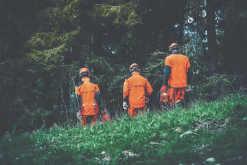 Wall Mural - Men walking in the forest holding a chainsaw and garden tools. Lumberjacks at work wears orange personal protective equipment. Gardeners working outdoor in the forest. Security forestry worker concept