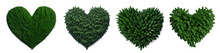  Set Of Various Heart Shaped Plant With Leaves And Grass Isolated On Transparent Background. Generative AI	
