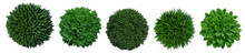Top View Of Various Decorative Green Bush Or Shrub Plants Isolated On Transparent Background. Generative AI	