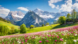 Fototapeta Natura - alpine meadow in the mountains