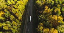 One Semi Truck With White Trailer And Cab Driving, Traveling Alone On Dense Flat Autumn Yellow Forest Asphalt Straight Road, Highway Top Down View Follow Vehicle Aerial Footage. Freeway Trucks Traffic