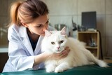 Fototapeta Zwierzęta - Images could depict the various aspects of cat healthcare, from vet visits to grooming routines and healthy dietary practices