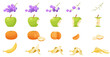 © lembergvector - Animated steps of eating banana with peel from whole to disappear, red apple and grapes on branch, tangerine flat vector illustration. Eaten fruits set, sequence game animation of bitten food.