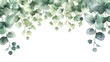 Leinwandbild Motiv illustration of a natural watercolor background with green eucalyptus branches, in the style of floral, dark white and light aquamarine, decorative borders, wiesław wałkuski, white background