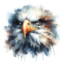 A Powerful Bald Eagle Spreads Its Wings In A Watercolor Painting.#03.Generative AI