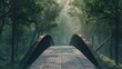 Modern footbridge throught forest