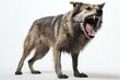 Mongrel dog standing in front of a white background and yawning