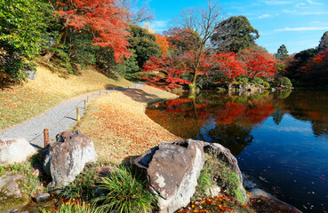 Wall Mural - Fall scenery of fiery maple trees reflected in the peaceful water and a pathway on the lakeside meadow on a sunny autumn day, in the Japanese garden of beautiful Sento Imperial Palace, Kyoto, Japan