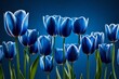 blue and white tulips