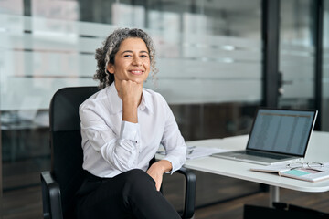 Smiling older mature female corporate leader, confident senior lady executive manager looking at camera. Happy middle aged professional business woman entrepreneur sitting in office, portrait.