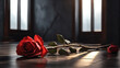 Roses Lying on the Floor, in a Minimalist Room