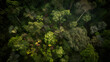 Tropical Canopy Richness: Aerial View of a Lush Rainforest AI-Generative