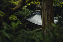 Japanese Temple Roof