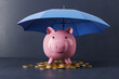 © Who is Danny - Creative image of pink piggy bank under blue umbrella on concrete wall background. 3D Rendering.