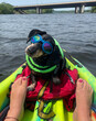 Canine Water Safety II