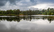 Tarn Hows lake in Lake district, England