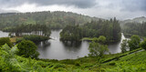 Fototapeta  - Tarn Hows lake in Lake district, England