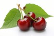 Close-up of three ripe red cherries with glistening green stems and veiny leaves on white background