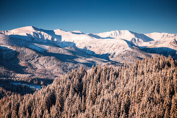 Poster - Exotic winter scene with snowy peaks on a frosty day.