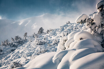 Sticker - Snow-white slopes of the highlands in sunny and frosty weather.