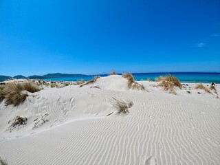 Wall Mural - sardinia beach desert white